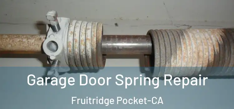 Garage Door Spring Repair Fruitridge Pocket-CA
